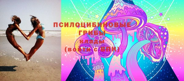 винт Алзамай