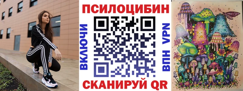 Псилоцибиновые грибы GOLDEN TEACHER Циолковский